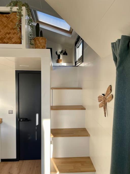 Tiny House With Sauna & Jacuzzi Near Amsterdam Vijfhuizen Екстер'єр фото